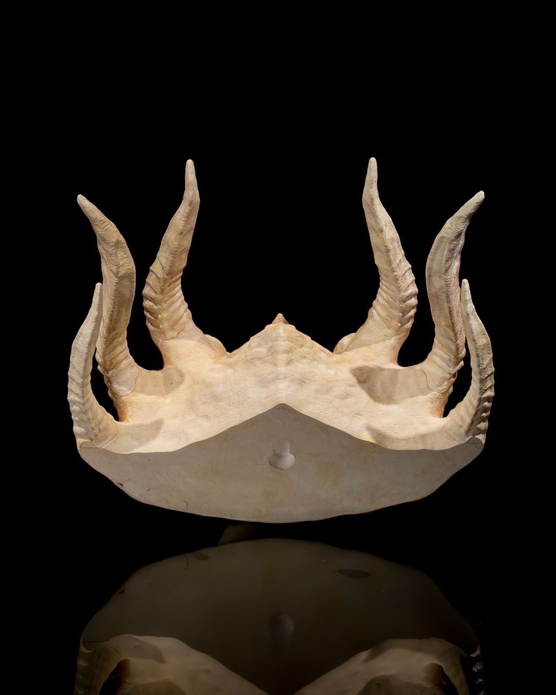 Silberner Drachenschädel - Münch3D