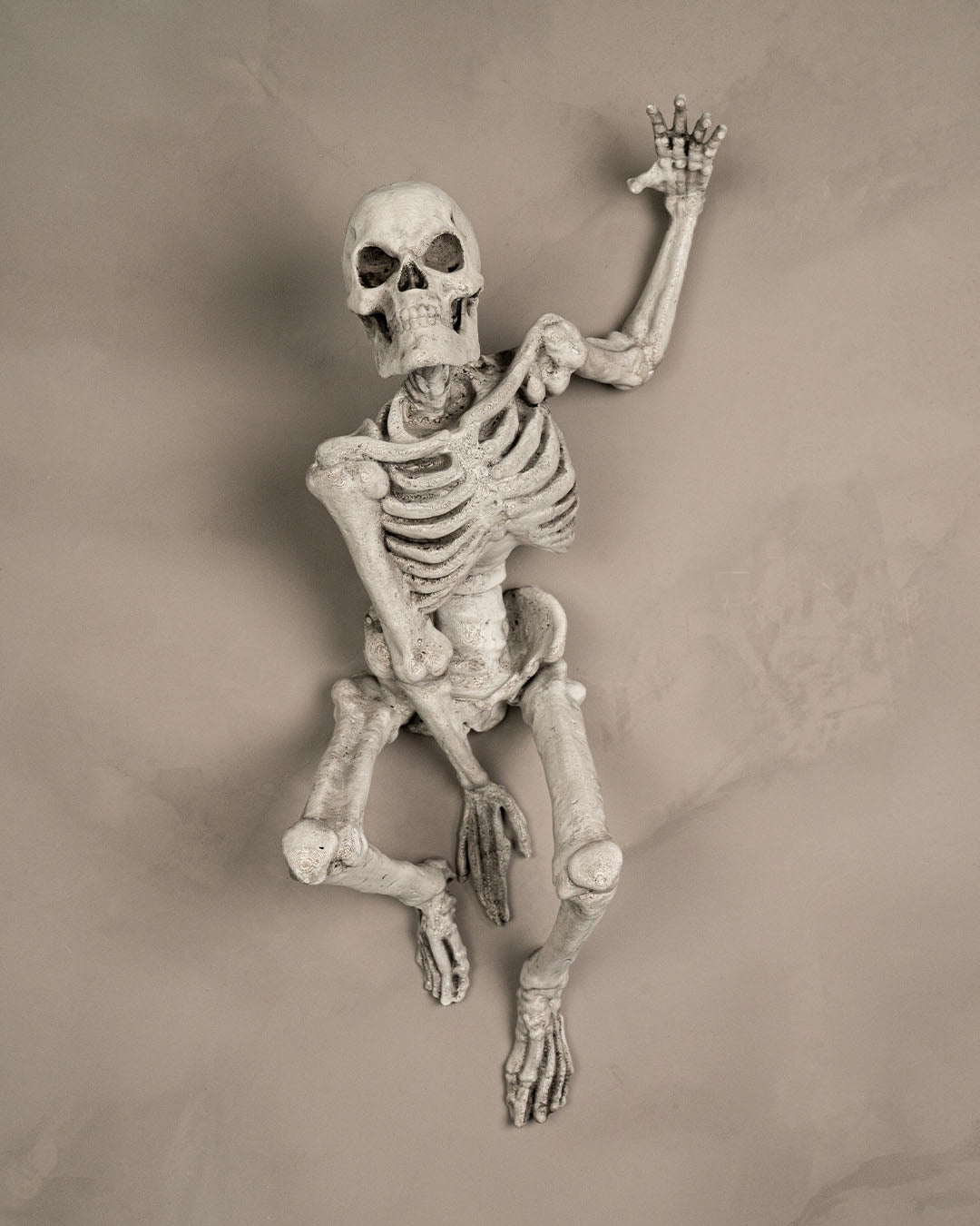 Skelett-Wanddeko The Skull als Gothic-Wohndeko an der Wand