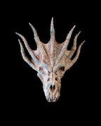 Stachel Drachenschädel Wanddeko Spiky Dragon (27 cm) - physisches 3D-Modell, Ansicht 4