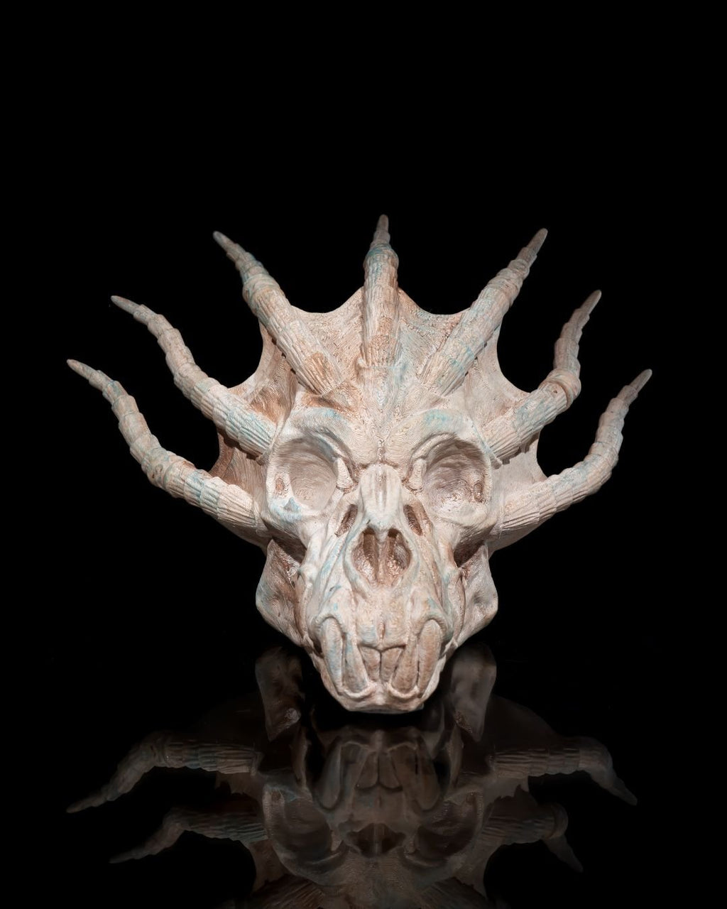 Stachel Drachenschädel Wanddeko Spiky Dragon (27 cm) - physisches 3D-Modell, Ansicht 5