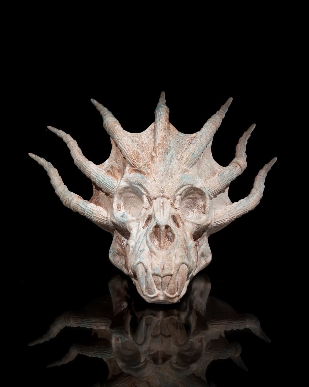 Stachel Drachenschädel Wanddeko Spiky Dragon (27 cm) - physisches 3D-Modell, Ansicht 5
