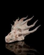 Stachel Drachenschädel Wanddeko Spiky Dragon (27 cm) - physisches 3D-Modell, Ansicht 6