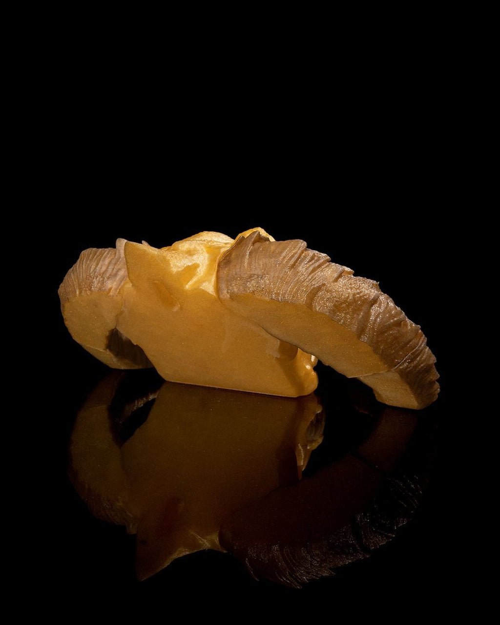 Golddrachenschädel - Münch3D