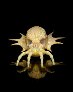 Mystischer Wasserdrachen Schädel - Münch3D