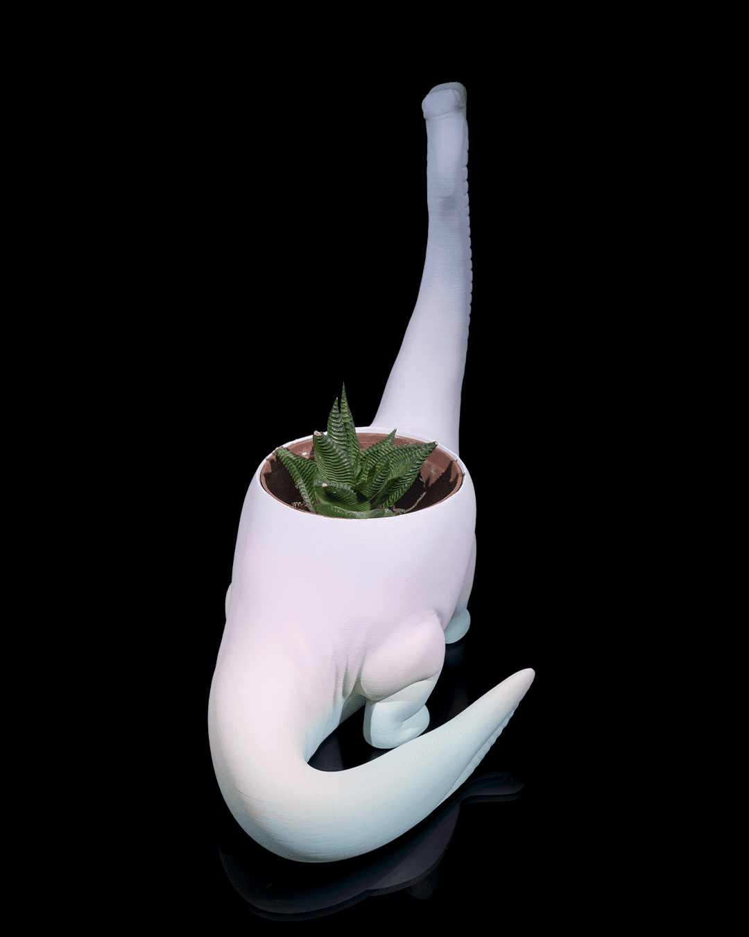 Dino Pflanztopf Lang hals Süße Deko in Wunschfarbe - physisches 3D-Modell, Ansicht 5