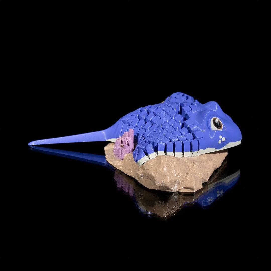 3D Ray der Mantarochen - Münch3D