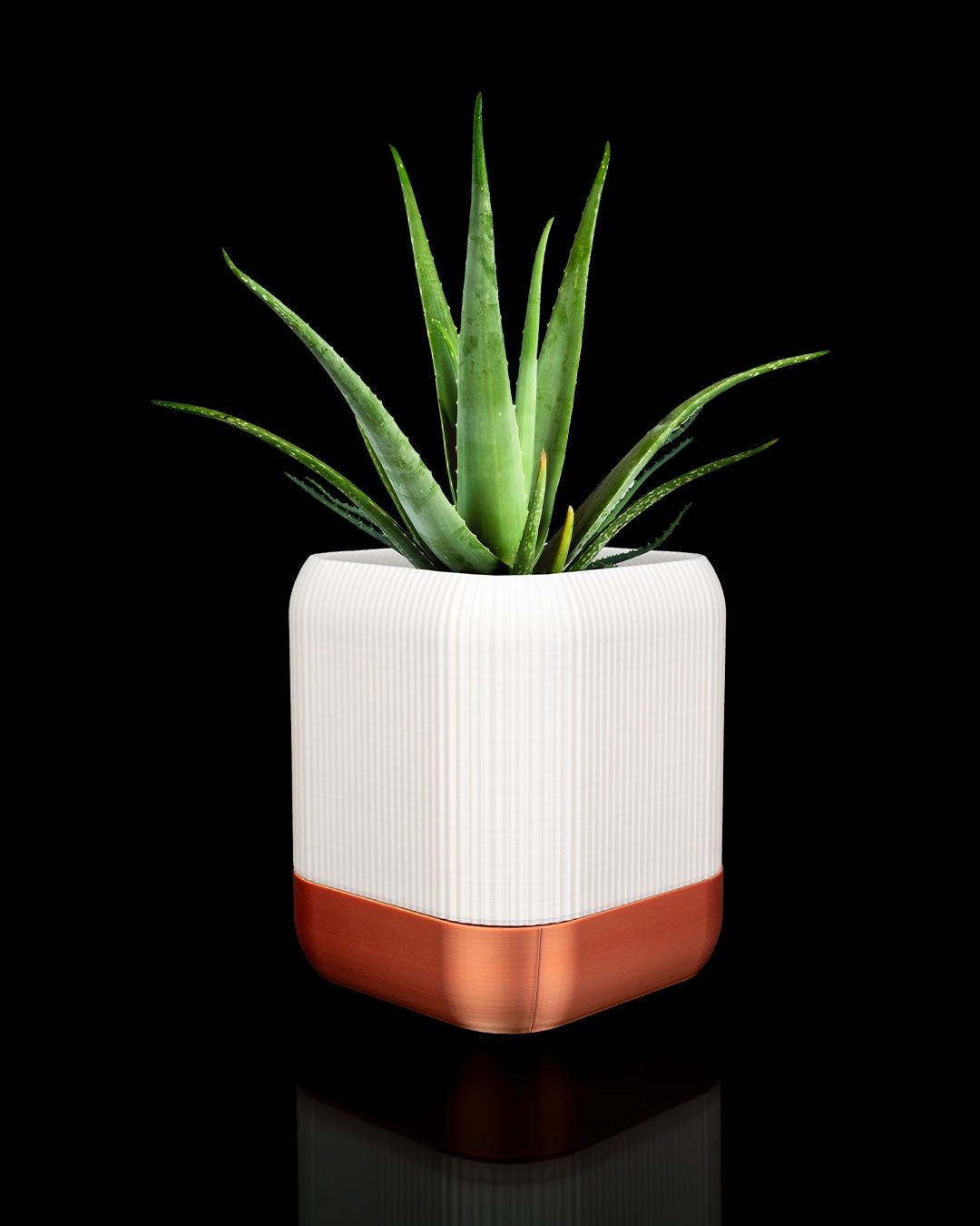 Quadra Selbstbewässernder Blumentopf (20 cm hoch) – Zweifarbig - physisches 3D-Modell, Ansicht 5