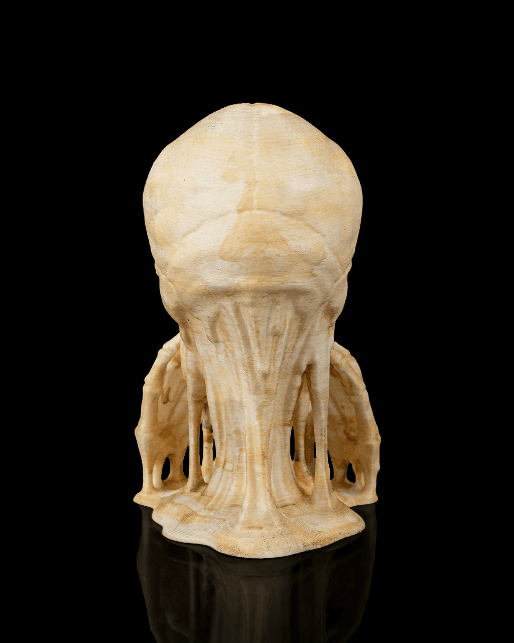 Schädel Figuren 3er Set "Drei weise Schädel" (11 cm, Handbemalt) - physisches 3D-Modell, Ansicht 5