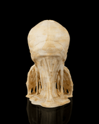 Schädel Figuren 3er Set "Drei weise Schädel" (11 cm, Handbemalt) - physisches 3D-Modell, Ansicht 5