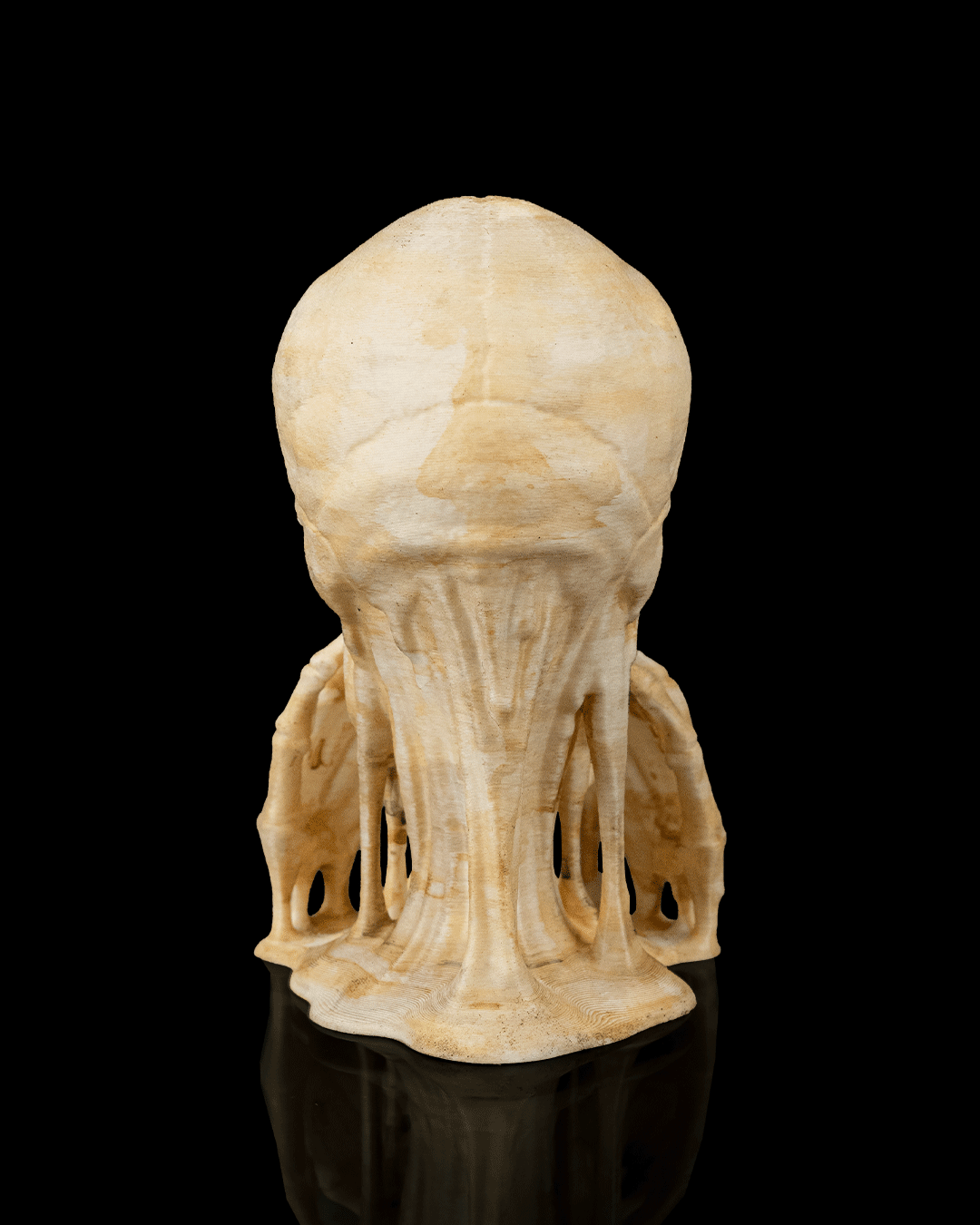 Schädel Figuren 3er Set "Drei weise Schädel" (11 cm, Handbemalt) - physisches 3D-Modell, Ansicht 5