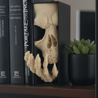 Book Nook Totenkopf mit Skeletthand auf schwarzem Regal im Homeoffice zwischen Fachbüchern, Sukkulente in schwarzem Topf daneben