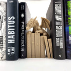 Drachen-Buchstütze aus versetztem Weitwinkel im Bücherregal fotografiert