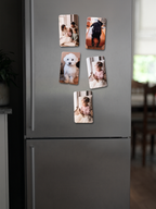 Fünf Foto-Kühlschrankmagnete an Edelstahl-Kühlschrank befestigt: Familienfoto, schwarzer Hund, weißer Hund, zweimal Mädchen mit Häschen-Kuscheltier