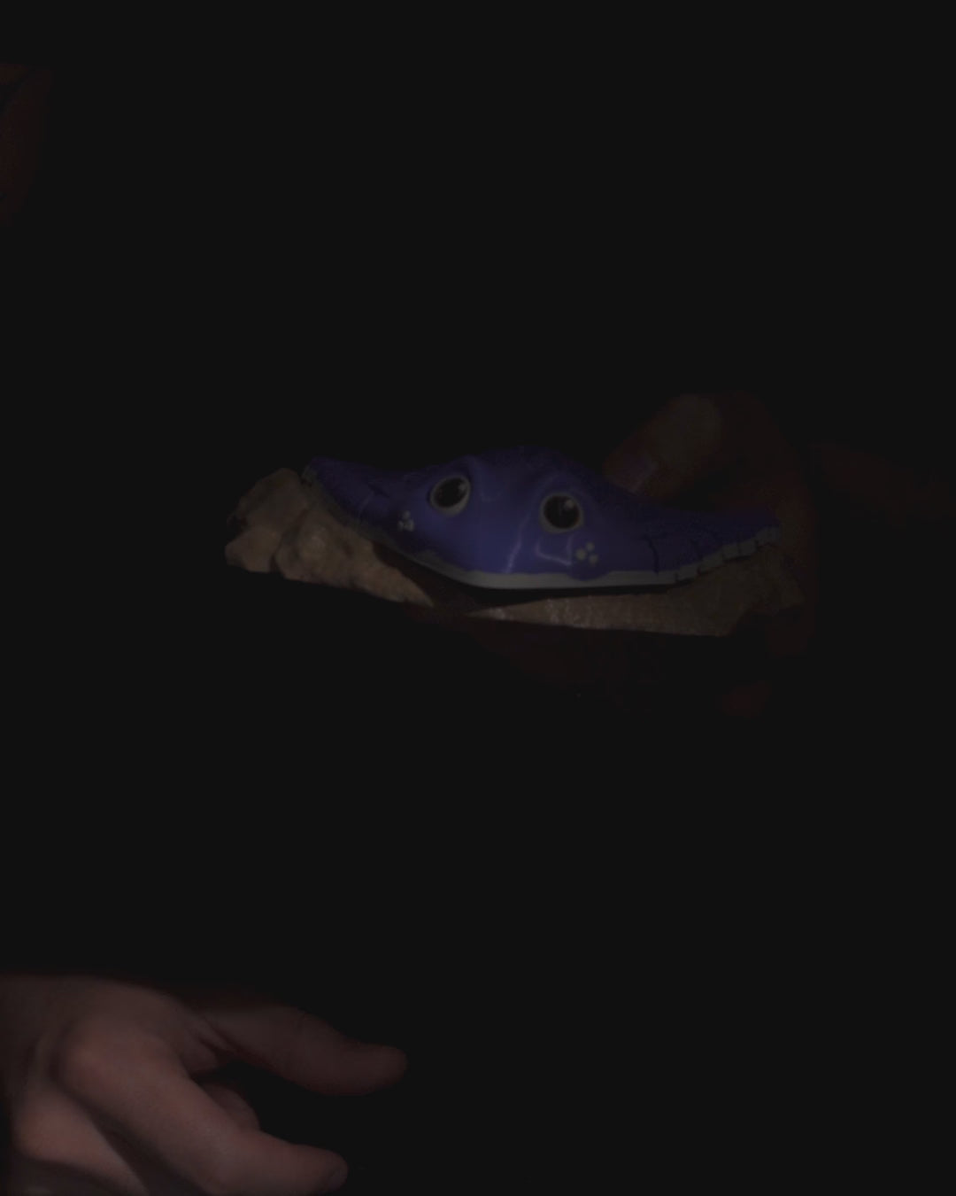 🌊 Beweglicher Mantarochen – Faszinierende Meeresfigur für Sammler & Deko-Liebhaber! 🦋