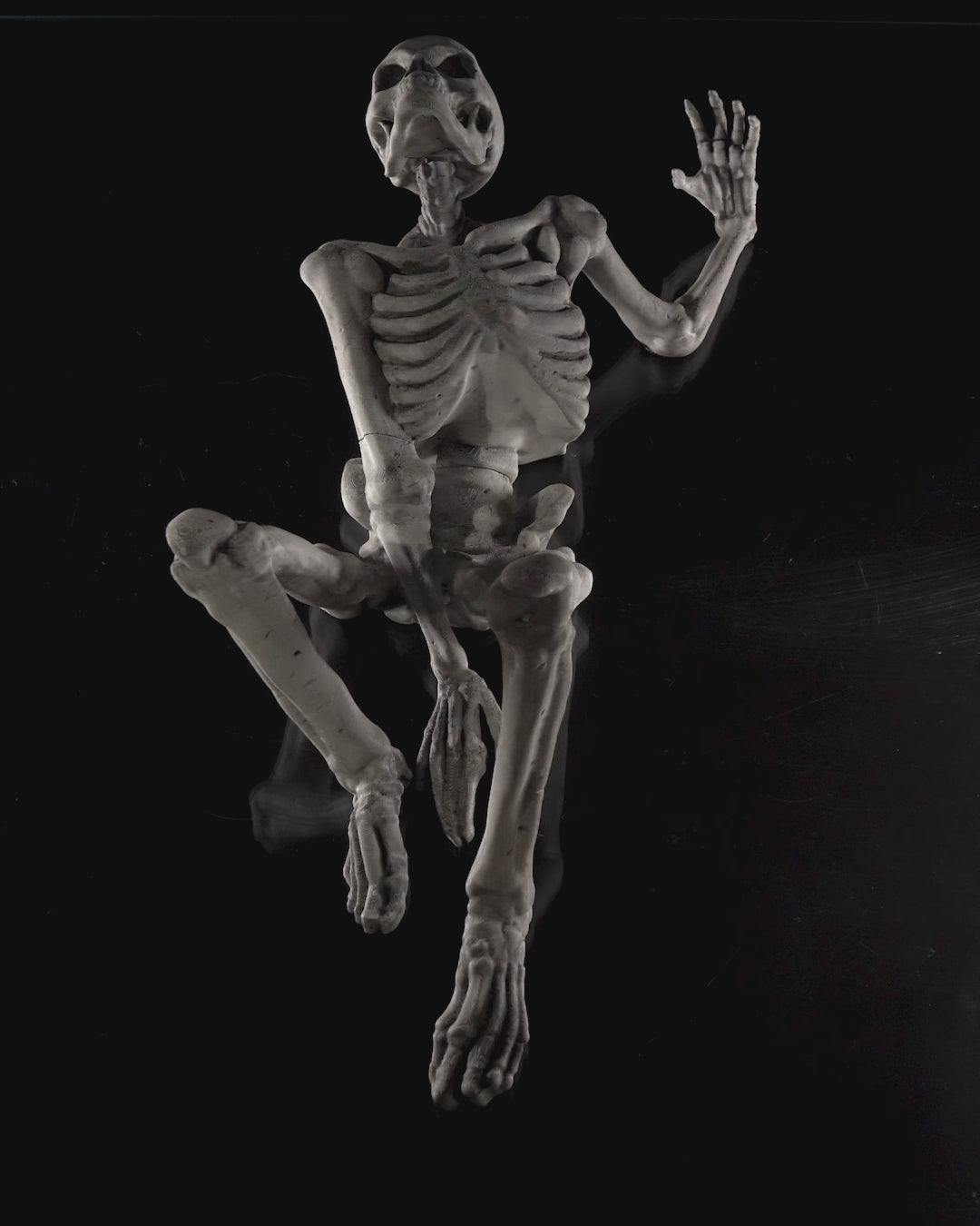 Skelett Wanddeko The Skull 2 Größen  Wunschfarbe