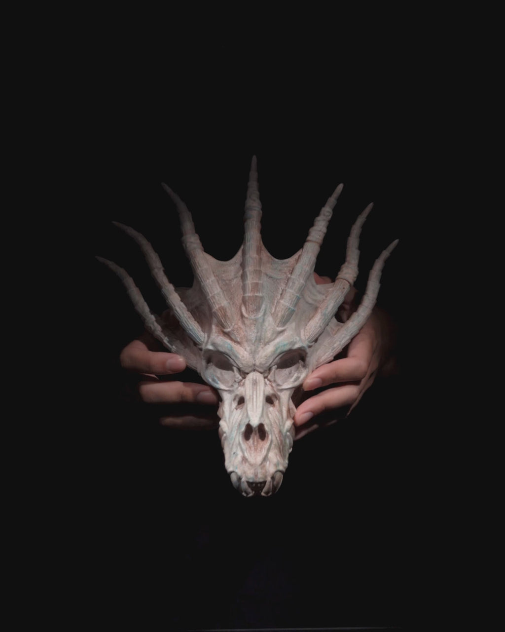 Stachel Drachenschädel Wanddeko Spiky Dragon (27 cm)