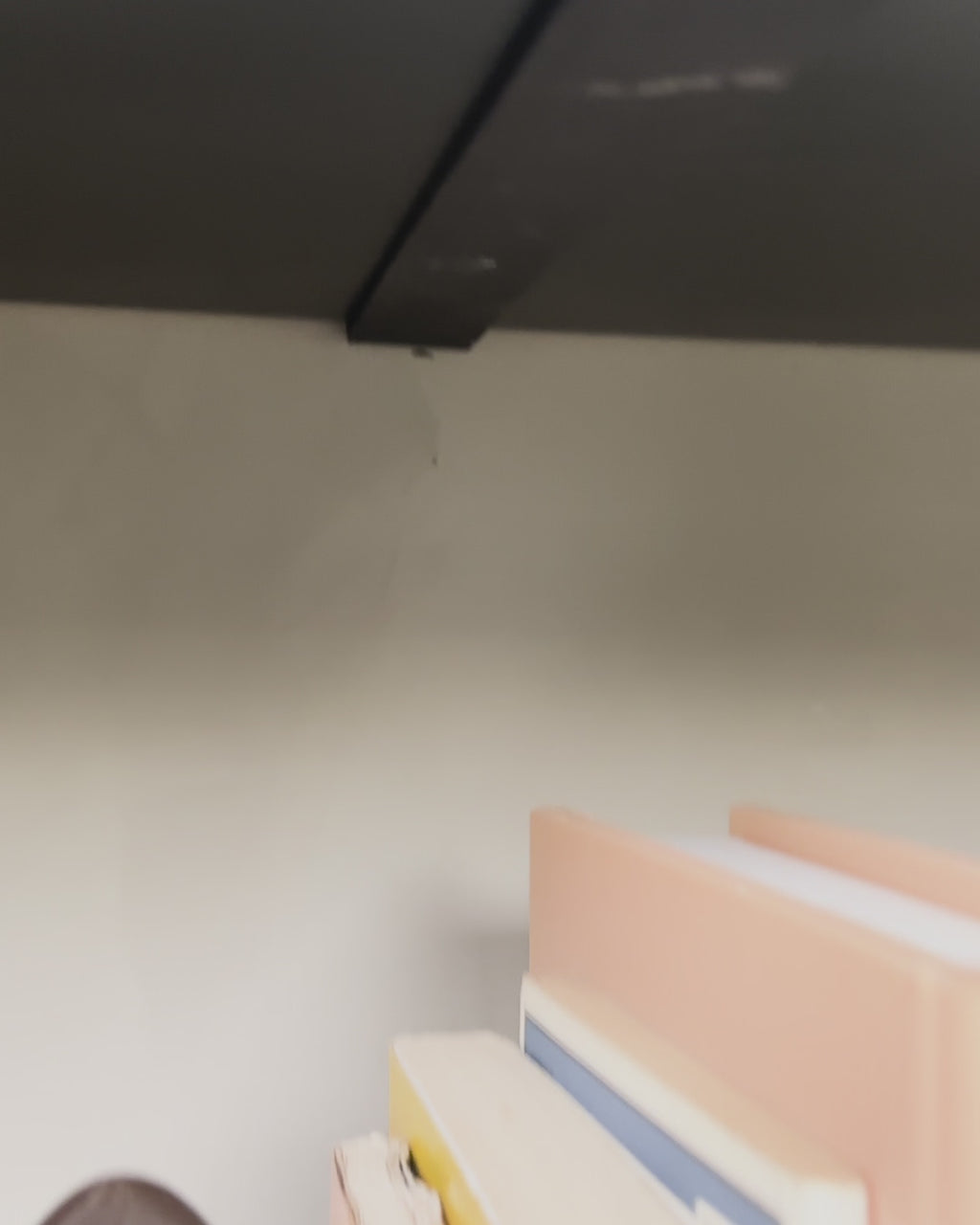 Kurzes Video der kuschelnden Katzen-Buchstützen mit Büchern auf dem Regal