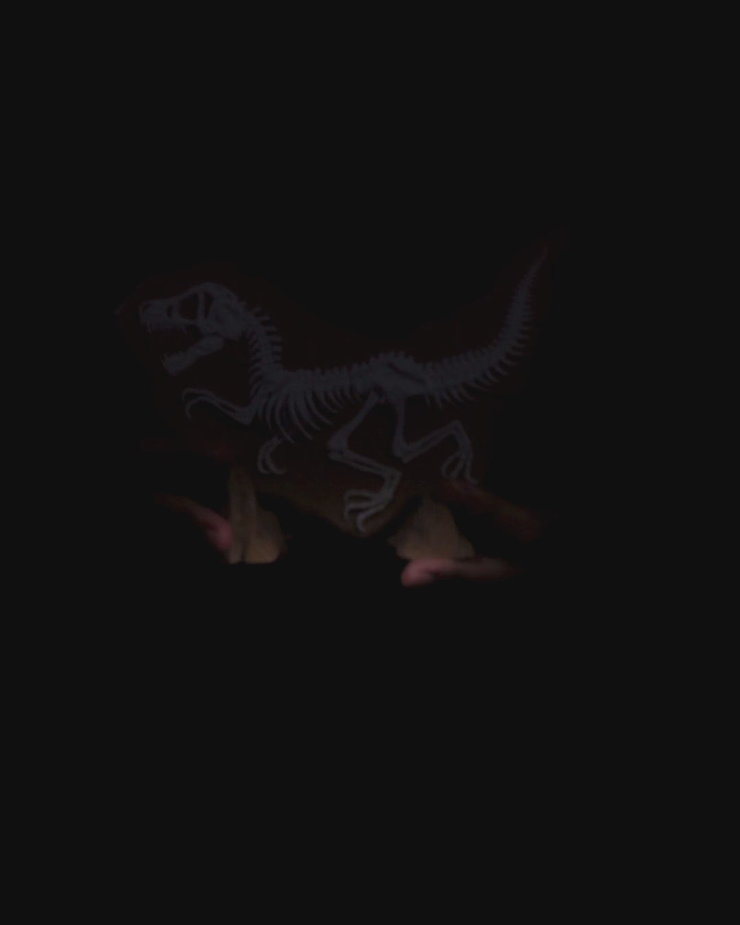 Dino-Ausgrabungsbeweis – Ein Stück Urzeit für dein Zuhause