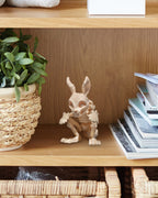 Skelett-Hase Figur im Bücherregal zwischen Grünpflanze und Zeitschriftenstapel, Elfenbein/Knochenfarbe