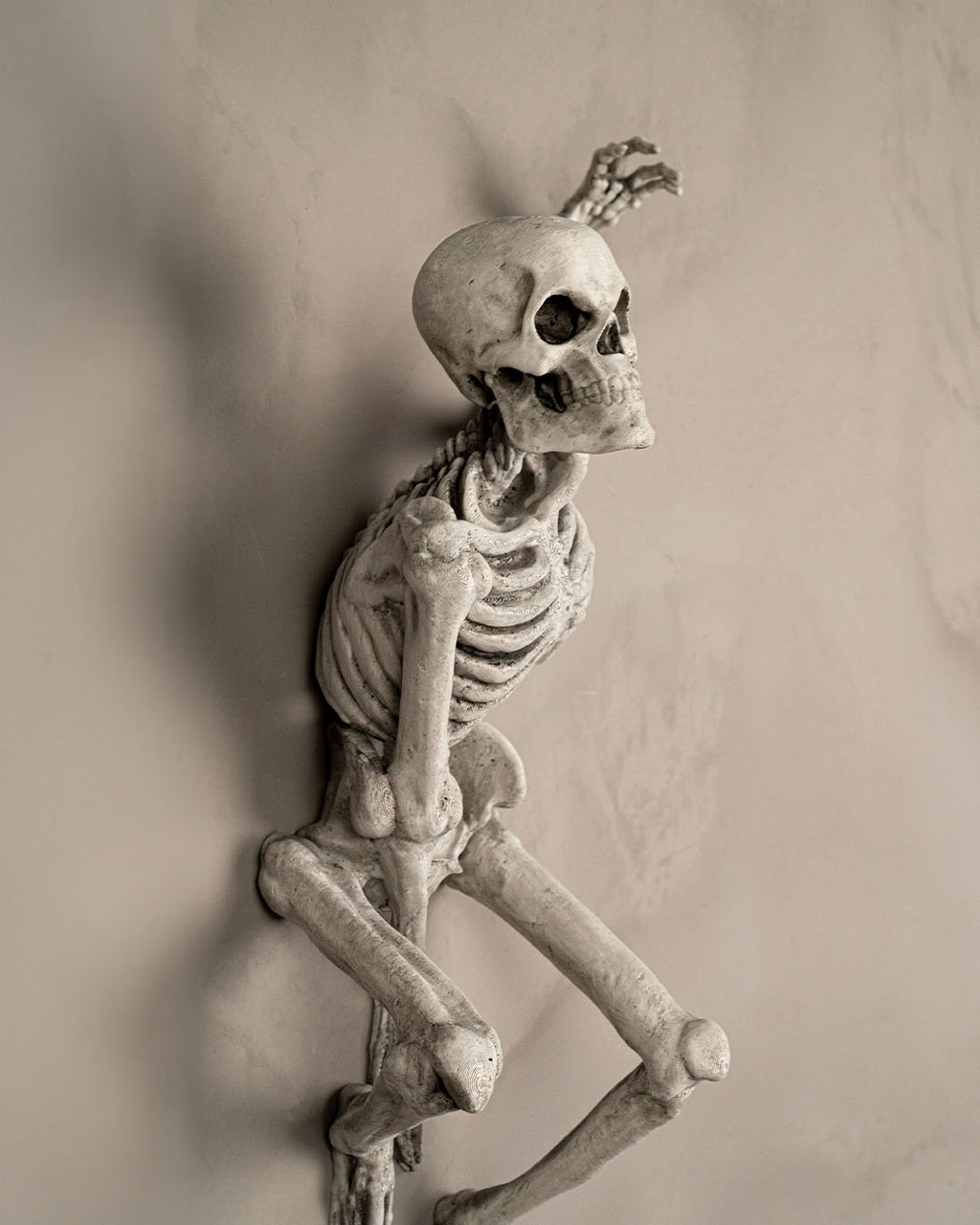 Skelett-Wanddeko 'The Skull' in gealterter Knochenoptik, Seitenprofil aus anderem Blickwinkel an heller Wand montiert