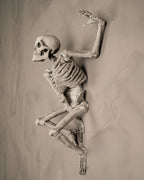 Skelett-Wanddeko 'The Skull' in gealterter Knochenoptik, Seitenprofil an heller Wand montiert