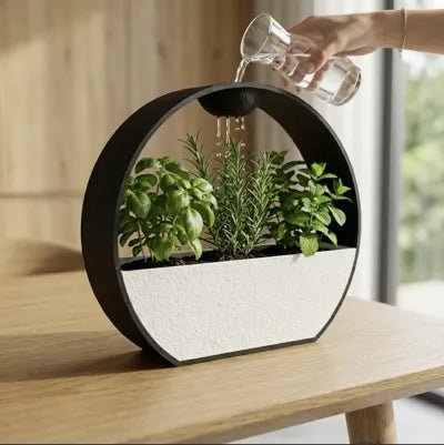 Nahaufnahme des oberen Regen-Mechanismus der ZenRain Vase: Hand gießt Wasser aus einer kleinen Glasflasche in die Öffnung im Ring, darunter Basilikum, Rosmarin und Minze, gleiches Fenster-Setting wie im Übersichtsfoto.